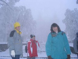 silvestr 2007